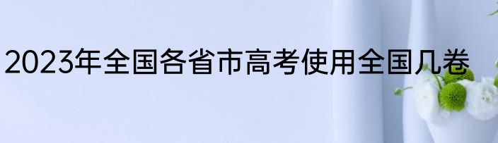 2023年全国各省市高考使用全国几卷
