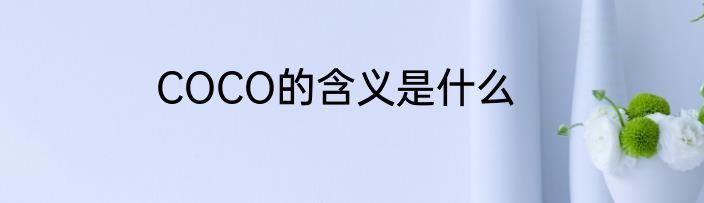 COCO的含义是什么