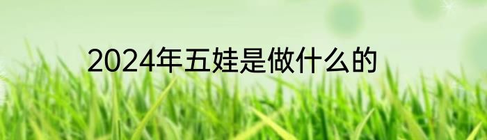 2024年五娃是做什么的