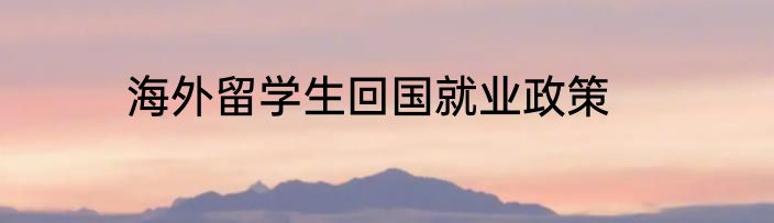海外留学生回国就业政策