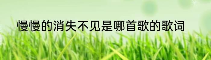 慢慢的消失不见是哪首歌的歌词