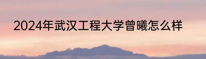 2024年武汉工程大学曾曦怎么样