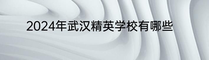 2024年武汉精英学校有哪些