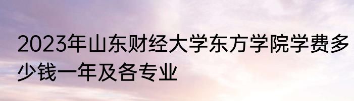 2023年山东财经大学东方学院学费多少钱一年及各专业