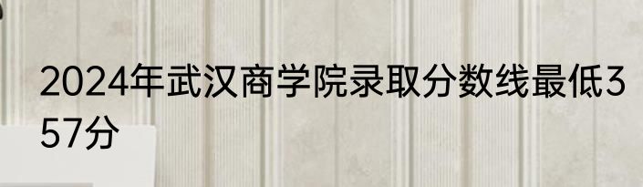 2024年武汉商学院录取分数线最低357分