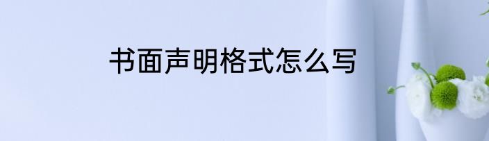 书面声明格式怎么写