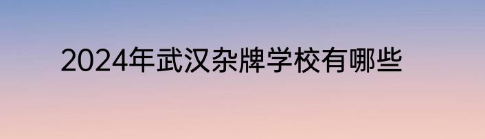 2024年武汉杂牌学校有哪些