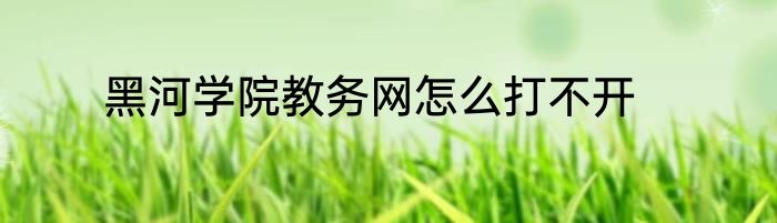 黑河学院教务网怎么打不开