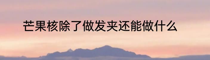 芒果核除了做发夹还能做什么