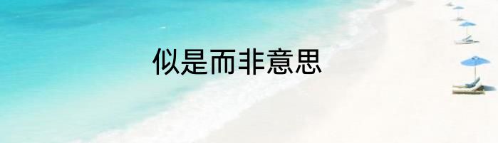 似是而非意思