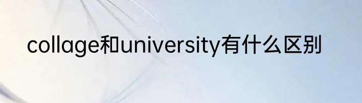 collage和university有什么区别