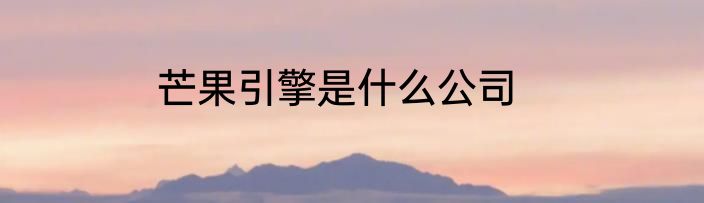 芒果引擎是什么公司