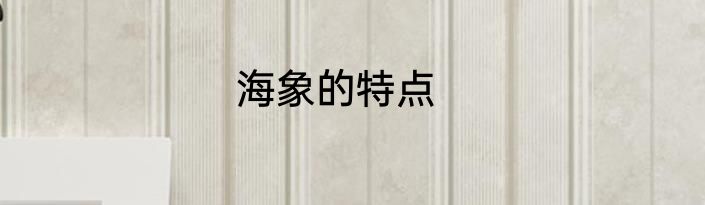 海象的特点