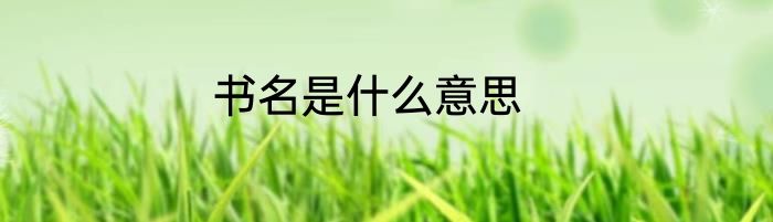 书名是什么意思