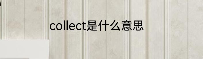 collect是什么意思