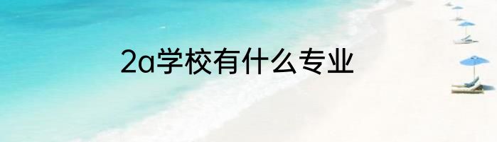 2a学校有什么专业