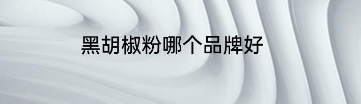 黑胡椒粉哪个品牌好