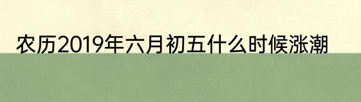 农历2019年六月初五什么时候涨潮
