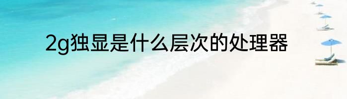 2g独显是什么层次的处理器
