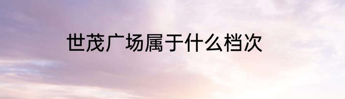 世茂广场属于什么档次