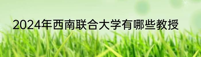 2024年西南联合大学有哪些教授