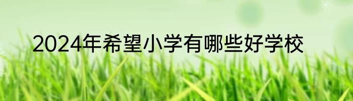 2024年希望小学有哪些好学校