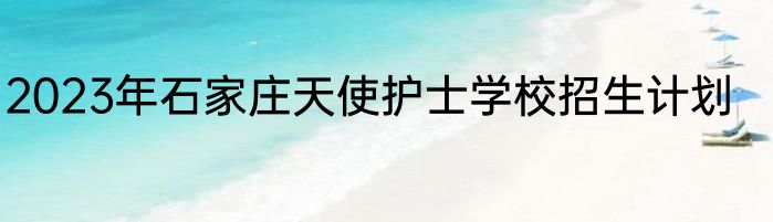 2023年石家庄天使护士学校招生计划