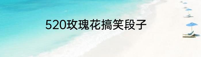 520玫瑰花搞笑段子