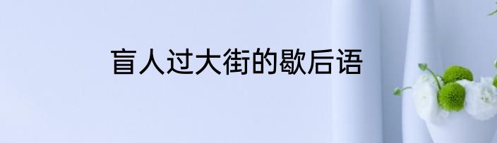 盲人过大街的歇后语