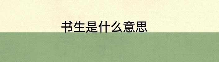 书生是什么意思