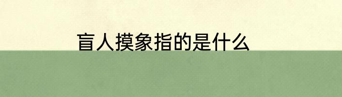 盲人摸象指的是什么