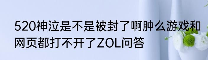 520神泣是不是被封了啊肿么游戏和网页都打不开了ZOL问答