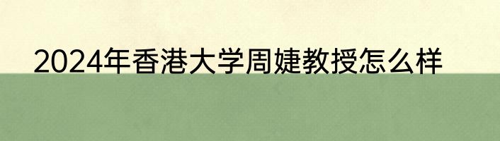 2024年香港大学周婕教授怎么样
