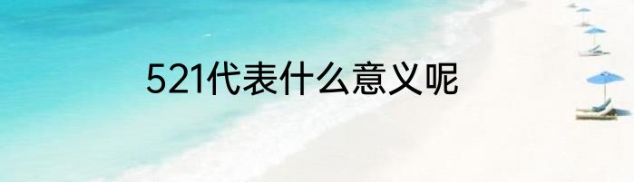521代表什么意义呢