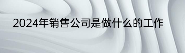 2024年销售公司是做什么的工作