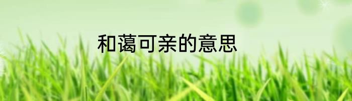 和蔼可亲的意思