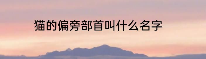猫的偏旁部首叫什么名字