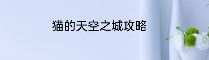 猫的天空之城攻略