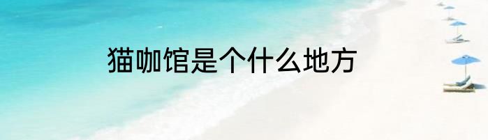 猫咖馆是个什么地方