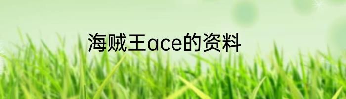 海贼王ace的资料