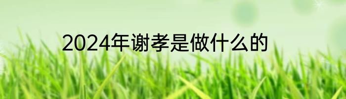 2024年谢孝是做什么的
