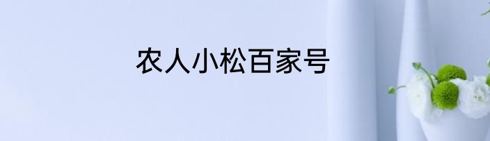 农人小松百家号
