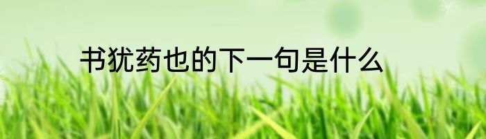 书犹药也的下一句是什么