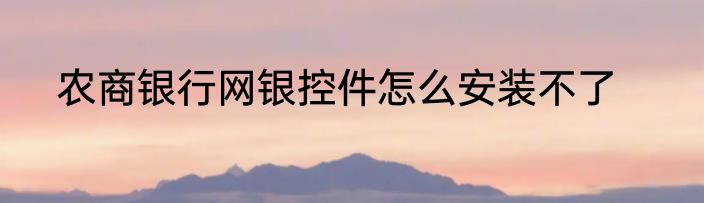 农商银行网银控件怎么安装不了