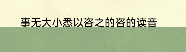 事无大小悉以咨之的咨的读音