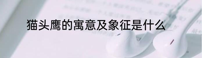 猫头鹰的寓意及象征是什么