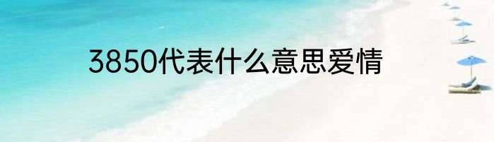 3850代表什么意思爱情