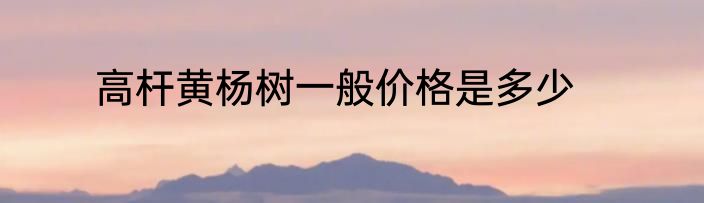 高杆黄杨树一般价格是多少