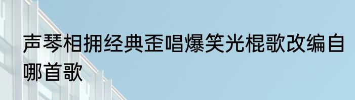 声琴相拥经典歪唱爆笑光棍歌改编自哪首歌