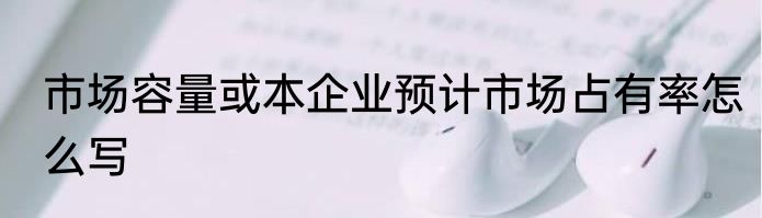 市场容量或本企业预计市场占有率怎么写